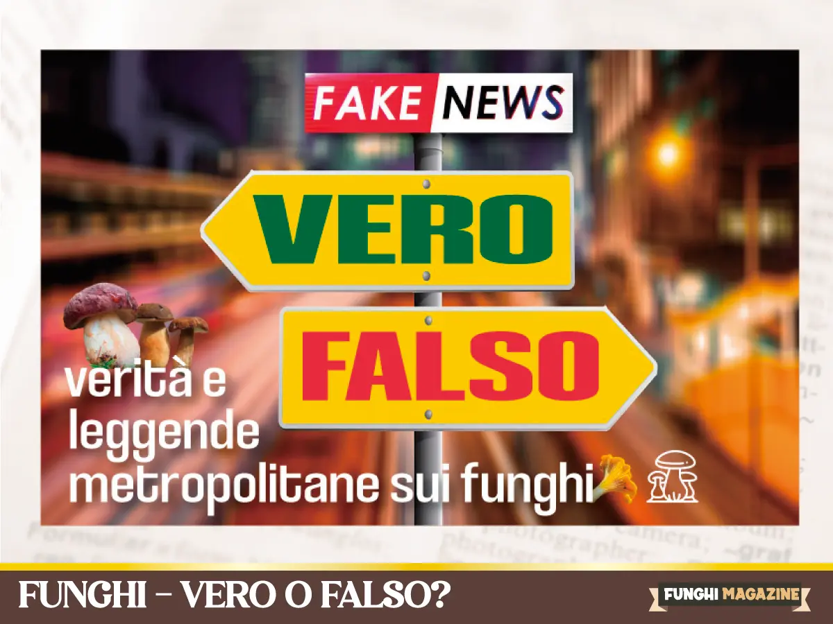 Funghi vero o falso copertina new