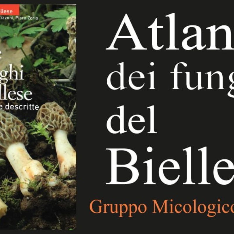 Atlante dei funghi del Biellese