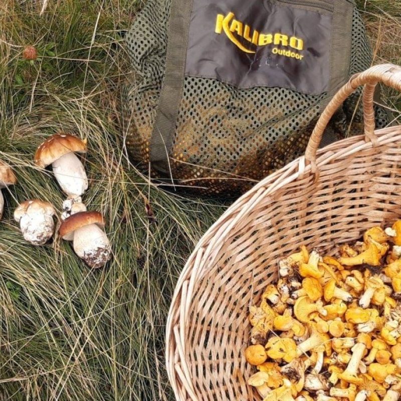Aggiornamento Meteofunghi 20-08-2020 – Funghi Porcini e Temporali Estivi