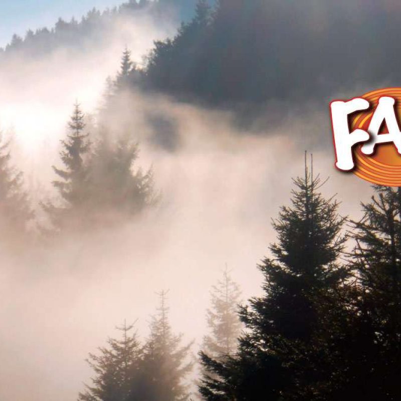Didattica funghi 03. Le domande sui funghi dei nostri lettori