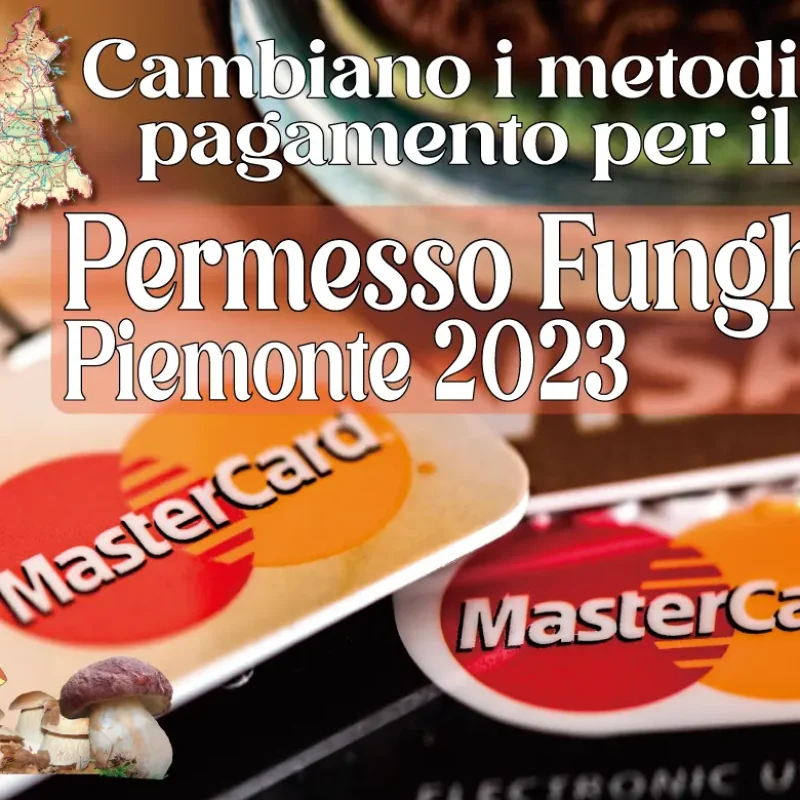 Permesso Funghi Piemonte. Cambiano le regole per i pagamenti