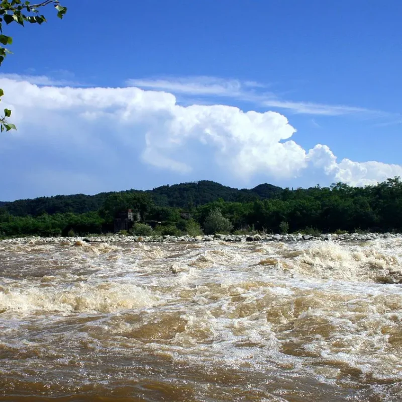 Meteofunghi 30-08-2023 – É arrivato il Ciclone Rea. Facciamo il punto della situazione Meteo e Funghi