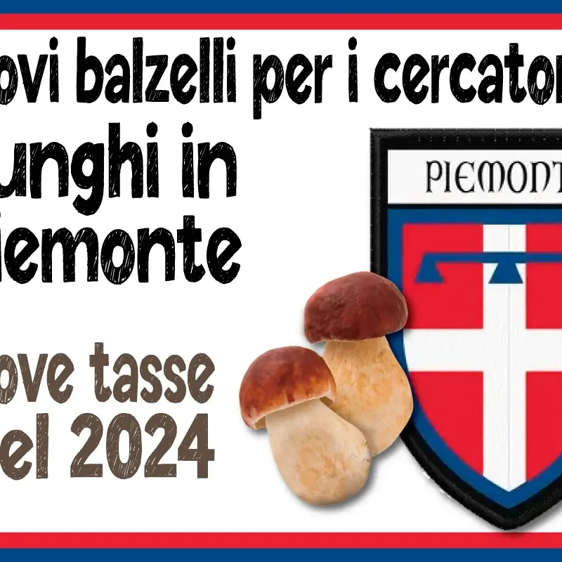 NUOVI BALZELLI PER I CERCATORI DI FUNGHI IN PIEMONTE