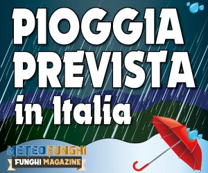 Pioggia prevista in Italia