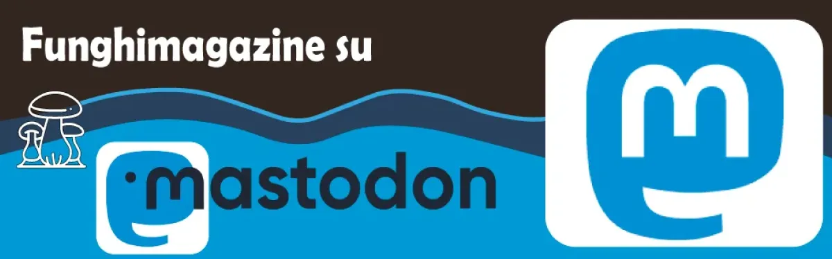 Funghimagazine su Mastodon