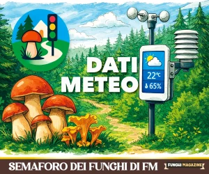 Semaforo dei Funghi 2026