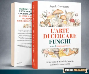 Home-funghimagazine 30 Copertina L'arte di cercare funghi