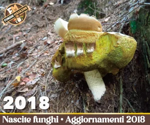 Home-funghimagazine 21 Aggiornamento Nascite Funghi 2018