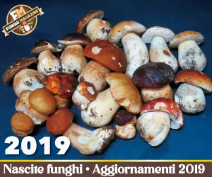 Home-funghimagazine 20 Articoli Aggiornamento Nascite Funghi 2019