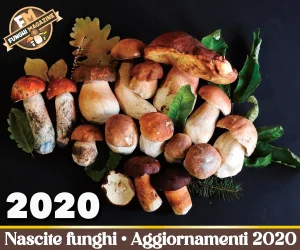 Home-funghimagazine 19 Aggiornamento Nascite Funghi 2020