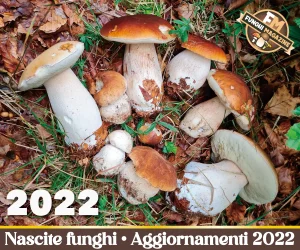 Home-funghimagazine 17 Aggiornamento Nascite Funghi 2022