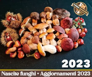 Home-funghimagazine 16 Aggiornamento Nascite Funghi 2023
