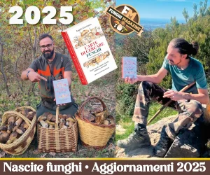 Home-funghimagazine 14 Aggiornamento Nascite Funghi 2025