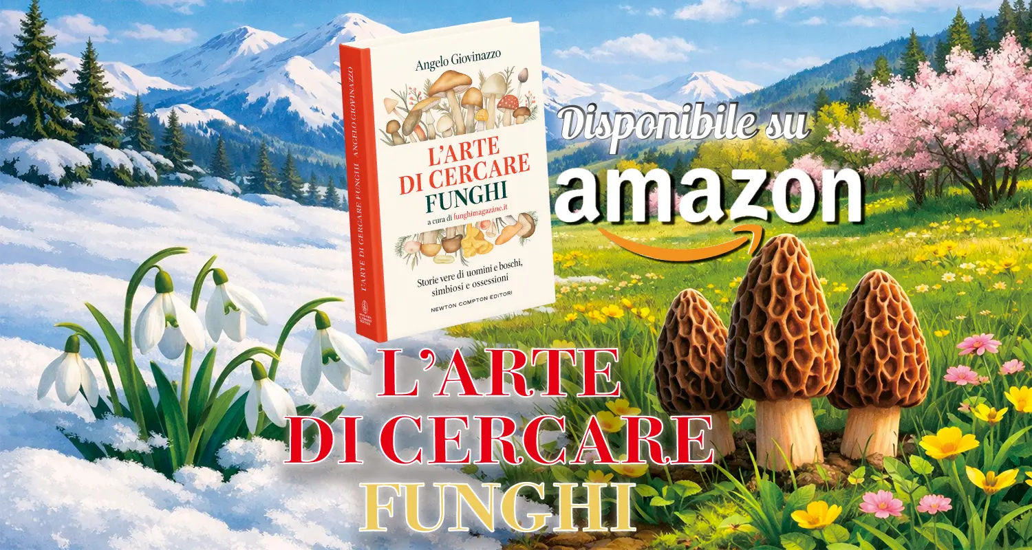 L'arte di Cercare Funghi
