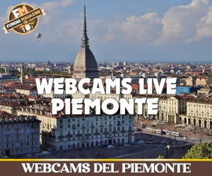 Home-funghimagazine 26 Webcams Piemonte
