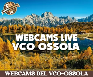 Home-funghimagazine 23 Webcams Verbano Cusio Ossola