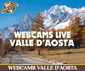 Home-funghimagazine 28 Webcams valle d'aosta copertina