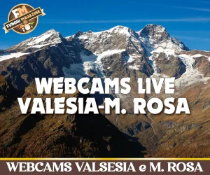 Home-funghimagazine 29 Webcams Valsesia Vercellese Monte Rosa