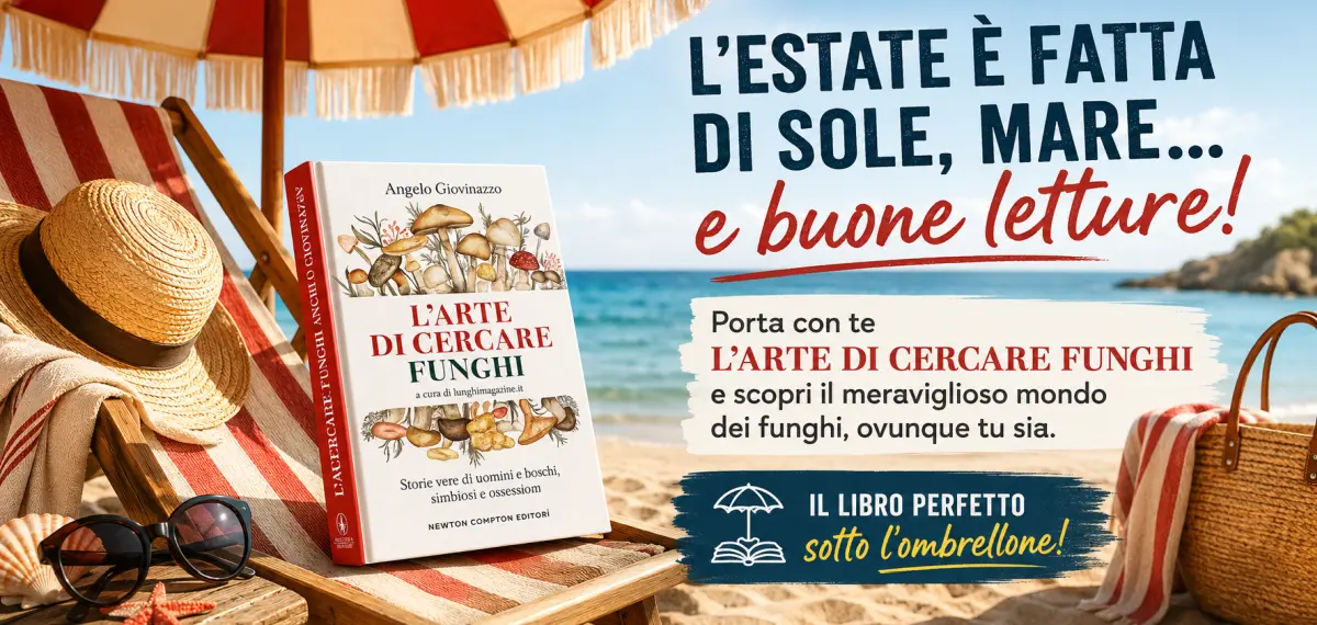 L'arte di Cercare Funghi estate