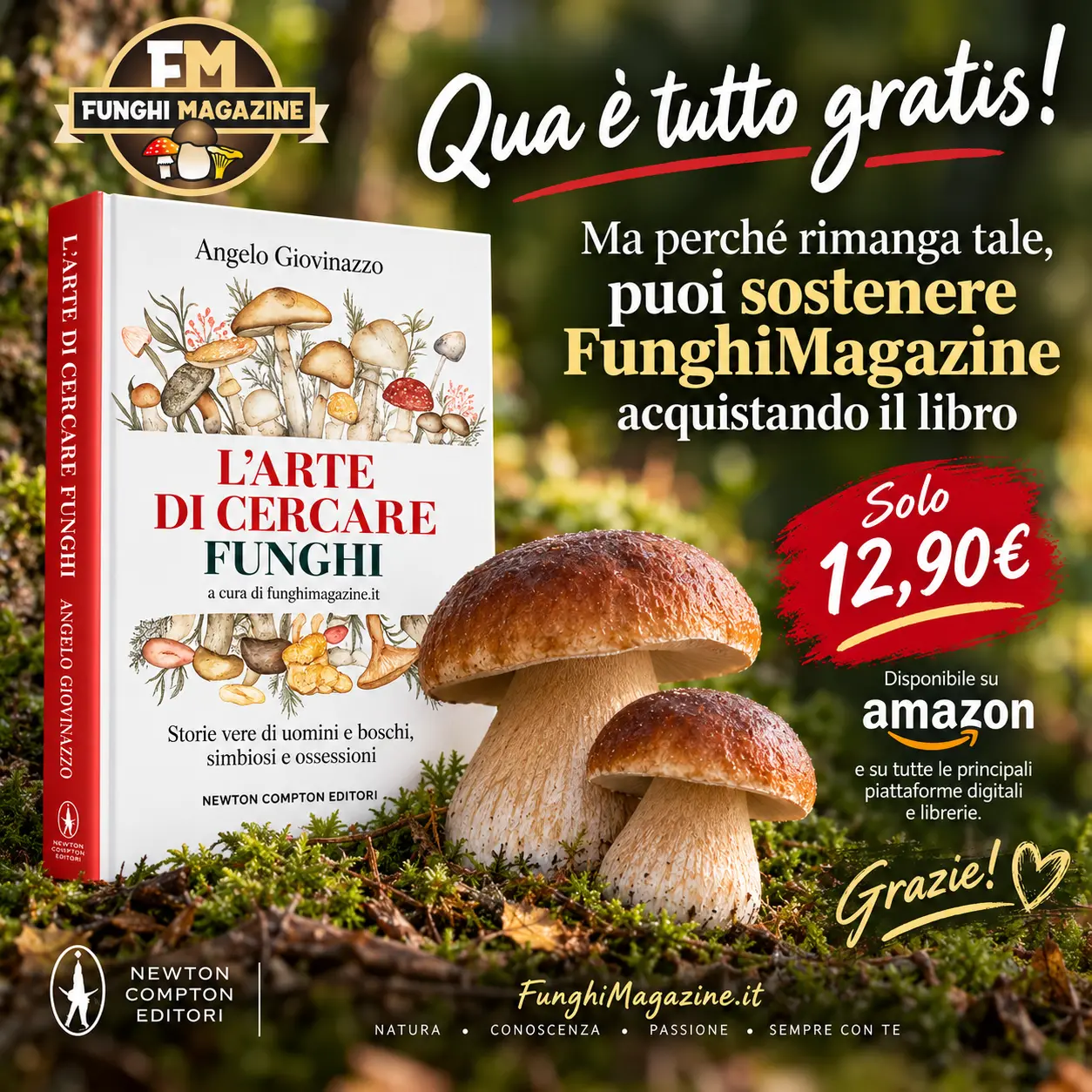 Home-funghimagazine 1 Banner l'arte di cercare funghi autunno