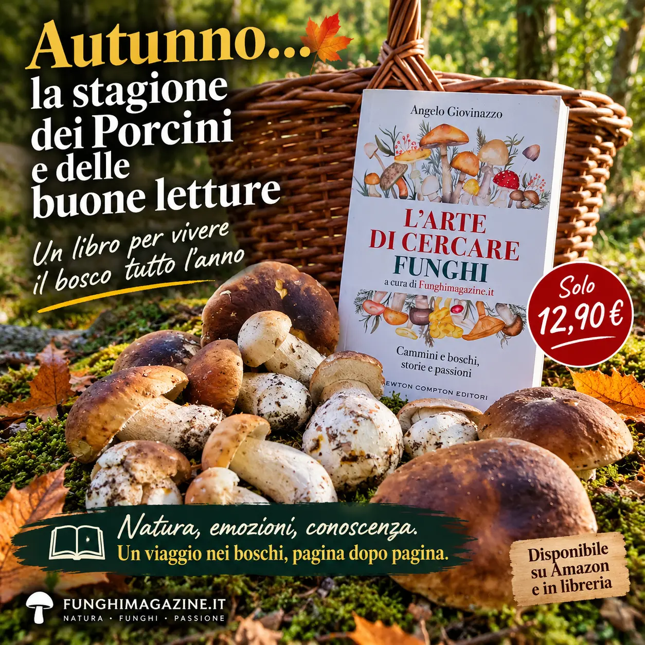 Home-funghimagazine 1 L'arte di cercare funghi libro autunno