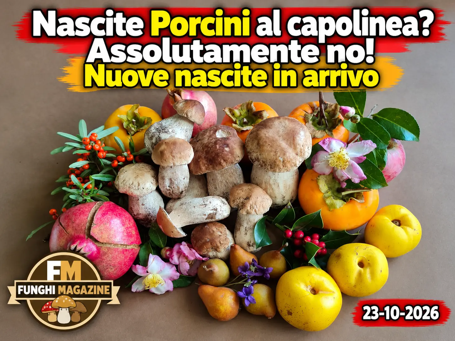 Aggiornamento Nascite Funghi 23-10-2026